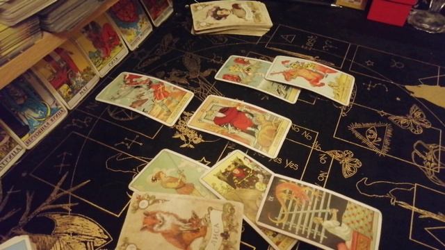 Львы декабрь 2025. Таро расклад