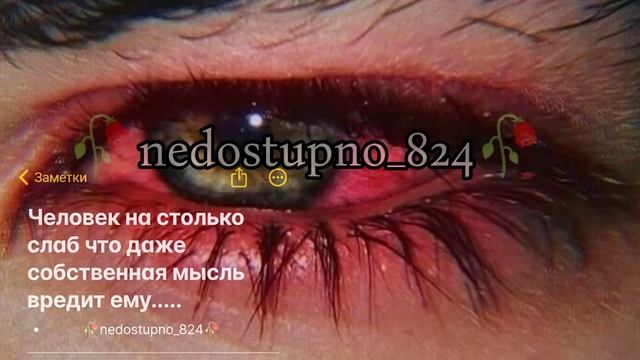 цыганская песня 🎧 душевная 👀🥀ЗЕЛЕНА якха❤️🥀Лёша Лобанов_