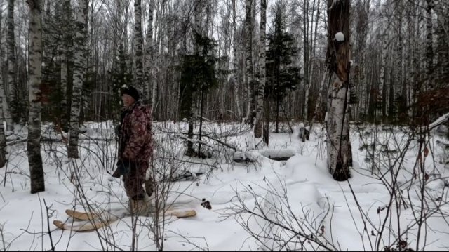 Охота на лося. Удача сопутствует. Лось добыт.