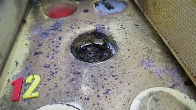 работа с пчелами в конце ноября - часть 1 ( обновление, результат подсиливания ) , 28.11.2025