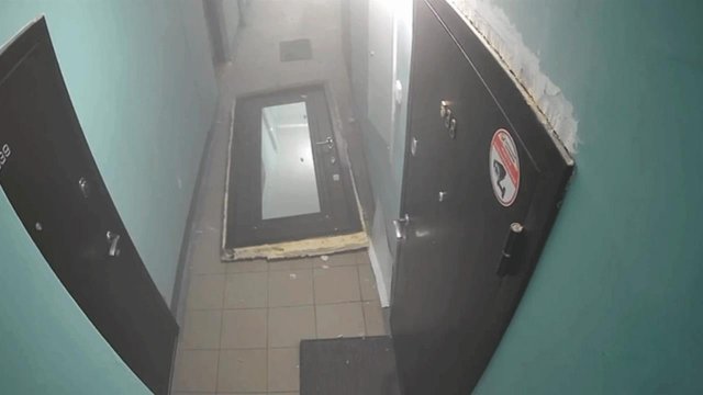 МЧС: квартира в Новосибирске взорвалась из-за собаки и дихлофоса