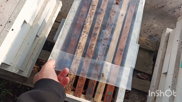 Подсиливание слабых отводков.