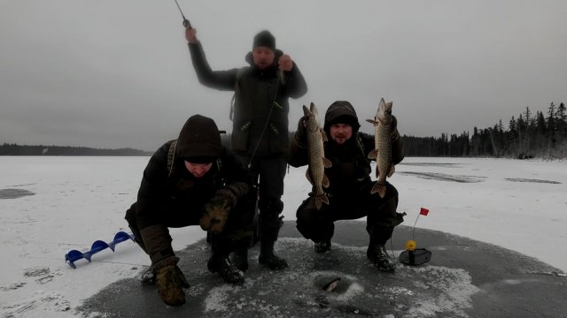 ТРОФЕЙ НА ЖЕРЛИЦЫ. РЫБАЛКА НА ЖЕРЛИЦЫ НА ЛЕСНОМ ОЗЕРЕ. РЫБАЛКА НА САМОЛОВКИ ПО ПЕРВОМУ ЛЬДУ