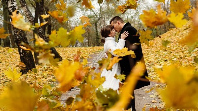 Заключительный вальс листопада. Музыкальная открытка.