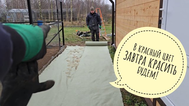 Вольер для совы неясытя Кофи почти готов! Хитрый Пёс Кубик против прогулок по сырости