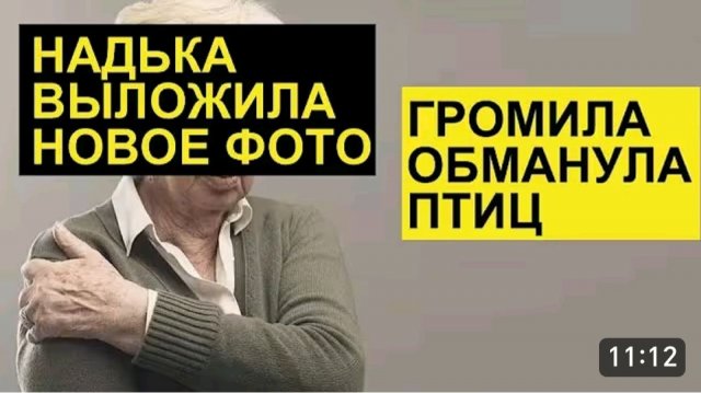 САМВЕЛ АДАМЯН, ОБЗОР ОТ СК, НАДЯ ВЫЛОЖИЛА НОВОЕ ФОТО, СВО ОБМАНУЛА ПТИЦ..