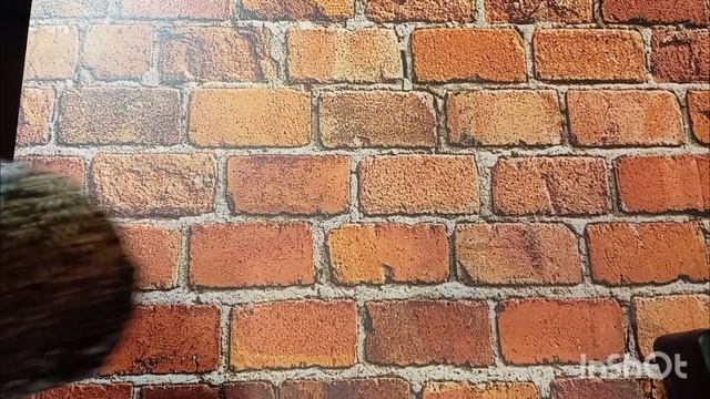 СП Пледомания 3, отчёт 5