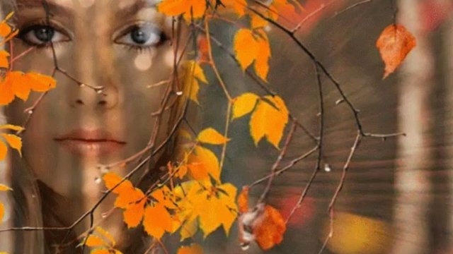 Ноябрь закрывает дверь за осенью. Музыкальная открытка.