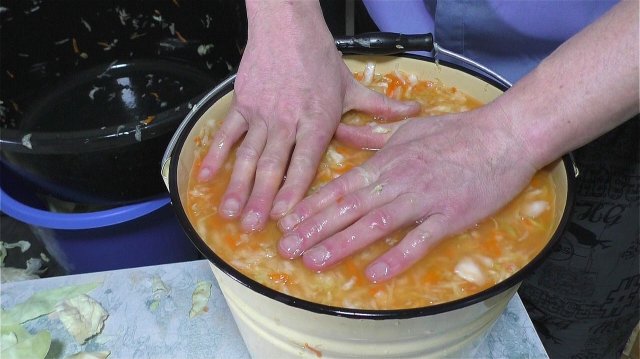 КВАШЕНАЯ КАПУСТА ЗА ТРИ ДНЯ! ГОТОВИЛИ ВСЕ!