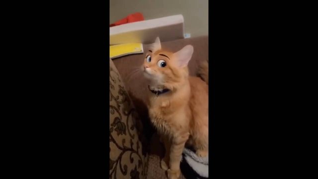 #смешныевидео -320