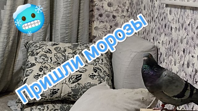 30-11-2025. В Иркутск пришли морозы...