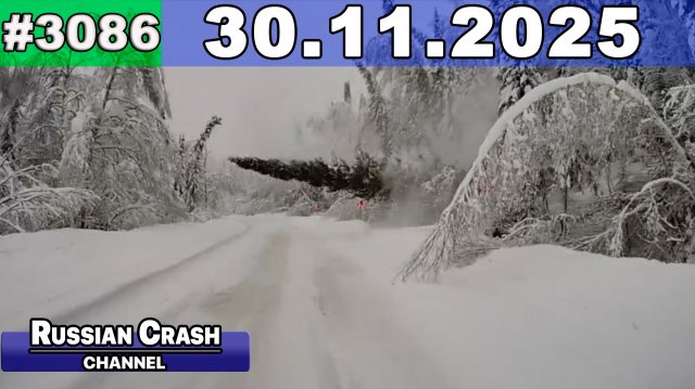 ДТП. Подборка на видеорегистратор за 30.11.2025 Ноябрь 2025