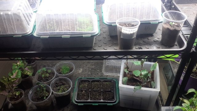 30.11.2025 Первые всходы, первые потери, первые выводы.