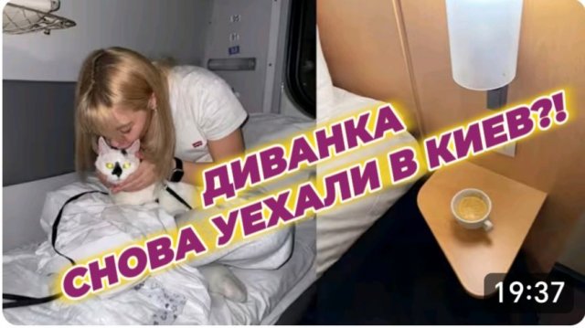 САМВЕЛ АДАМЯН, МИСС ВОНГ, СНОВА УЕХАЛИ В СТОЛИЦУ!?..