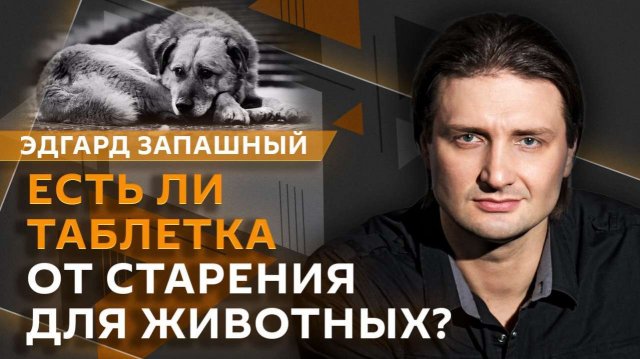 Эдгард Запашный и Нина Ватт. Таблетка от старения, голуби-биодроны и сказочные животные