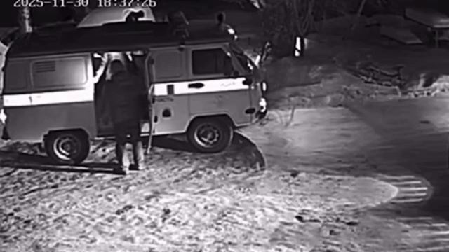 Две собаки напали на фельдшера «скорой» в микрорайоне Апрель в Томске