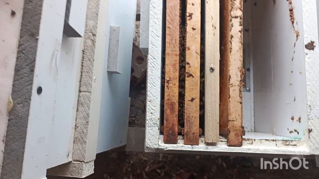 Осмотрел как объединились.