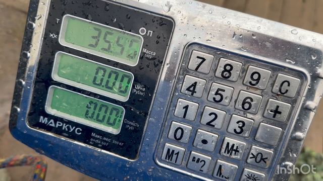 Очередная партия Форели