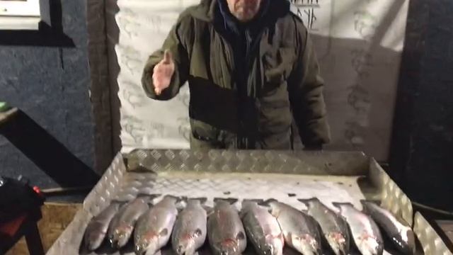 хороший улов форели у Андрея