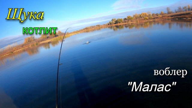 Щука дуреет с этой приманки. Поставил воблер малас и начался клев