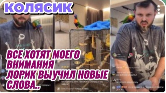 САМВЕЛ АДАМЯН, ГРАНДЕНИКО, ВСЕ ХОТЯТ МОЕГО ВНИМАНИЯ, ЛОРИК ВЫУЧИЛ НОВЫЕ СЛОВА..