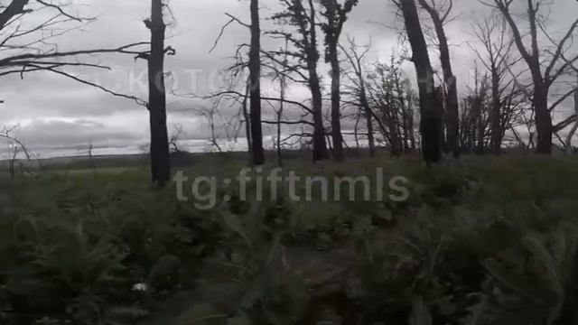 🔴«Сухарь» свалил😆🔴