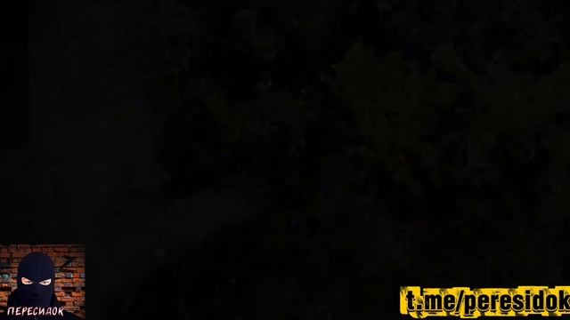 Ещё пару ВСУшников упали на счёт российским дроноводам