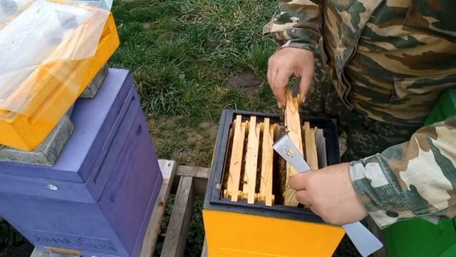 Как Стартуют Пчёлы на Кубани!!!