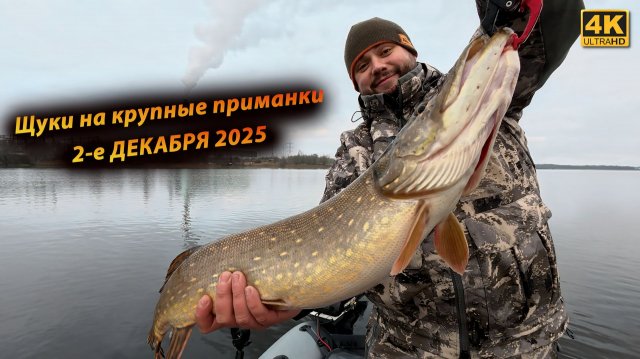 Зимние ТОЛСТЫЕ ЩУКИ любят КРУПНУЮ РЕЗИНУ - Рыбалка в декабре 2025