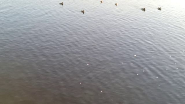 Санаторий Якты-Куль ♥️ День третий