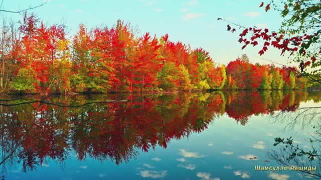 #Коран#АнНисаъ#СамыеКрасивыеМеста#Relaxation##Islam#Quran#AnNisa'#Minshawiy #4кВидео#18часть#