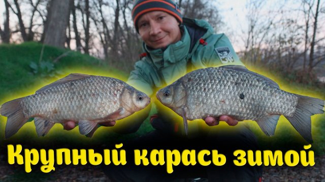 Первая зимняя рыбалка на крупного карася, вот это клёв