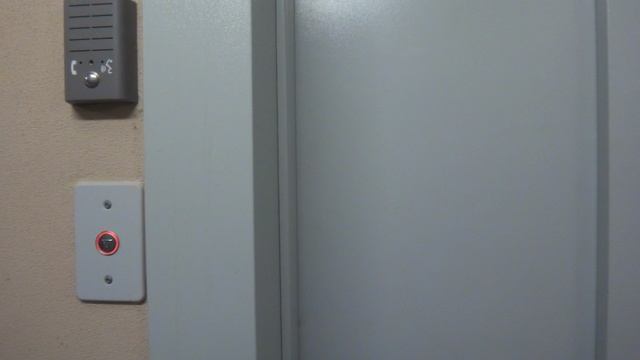 Грузопассажирский лифт (г. Троицк), V=1 м-с, г-п 630 кг (98)