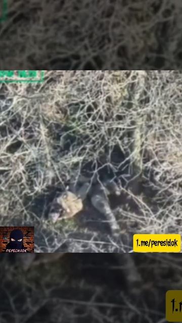 Когда приказ пленных не брать