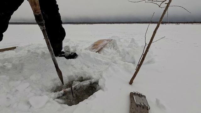 Проверка удочек. 8 день.