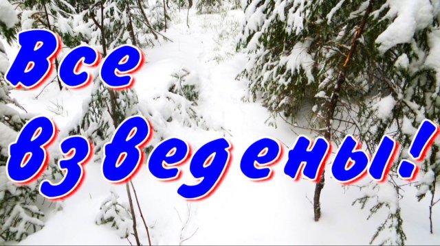 Два дня взводил последние капканы из-за хитрого соболя меняю насторожки КА-2У на проход