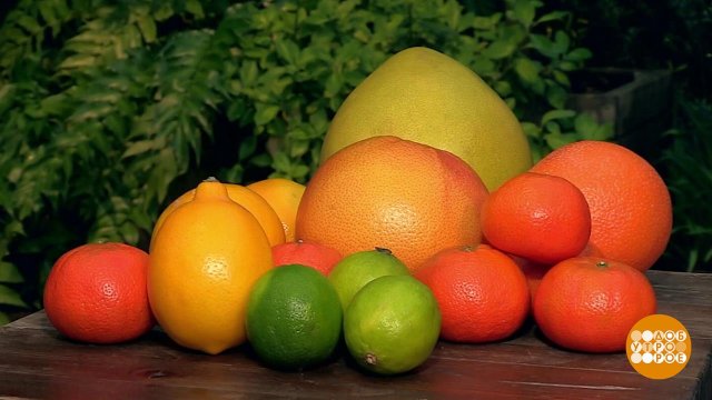 Цитрусовые: мандарины - самые новогодние! Доброе утро. Фрагмент выпуска от 05.12.2025