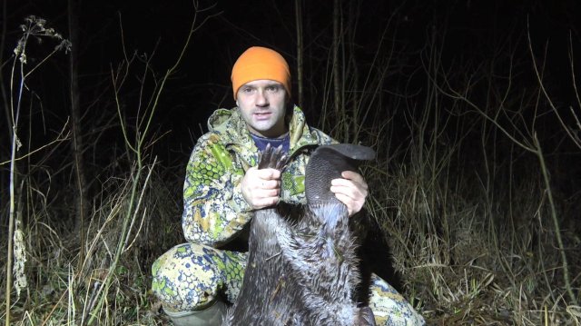 ЗВЕРЬ ВСПЛЫЛ ПОСЛЕ ВЫСТРЕЛА. ОХОТА НА ТРОФЕЙНОГО БОБРА.