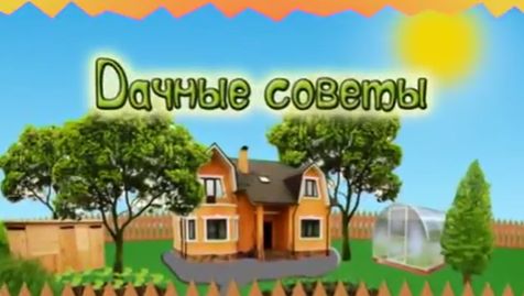 Дачные советы Галины Старосельцевой Декабрь 04-2025