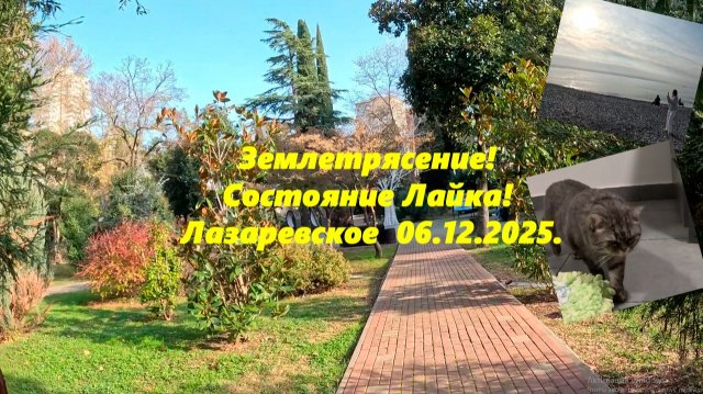 Землетрясение! Состояние Лайка! Лазаревское 06.12.2025.