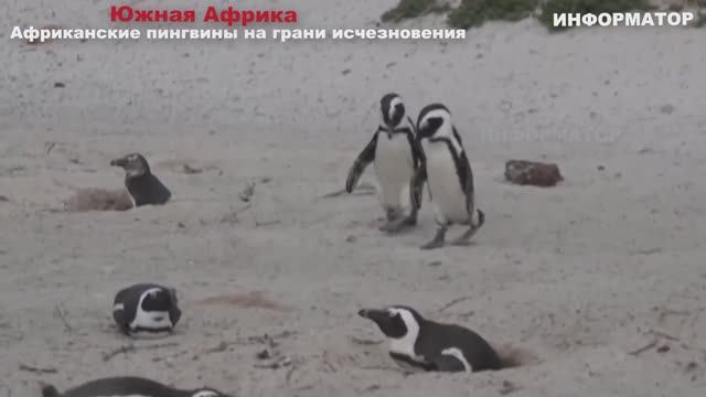 Новости Сегодня 06.12.2025 - Цунами Европа, Москва Ураган, Украина, Катаклизмы США