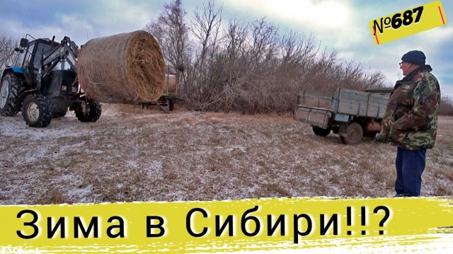 Жизнь в сибирской деревне | Чистим снег. Купили ещё сена.