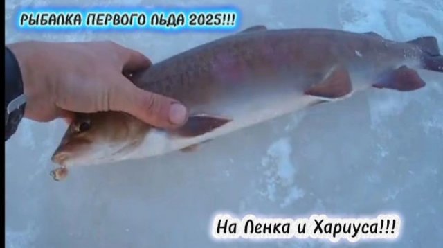 Рыбалка по Первому Льду 2025-2026!!! На Ленка и Хариуса!!!