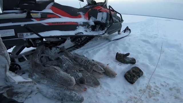 Неудавшийся поход. Удачно заехал на рыбалку.