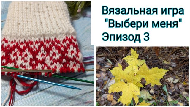 "Выбери меня". Отчёт 3. О, жаккард, обожаю тебя! Добралась до котиков 😄🐈🐈