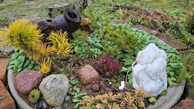 Заплутавшая Зима, шалости хвостатых и ложка-змейка