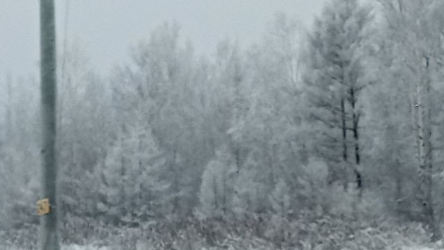 Сельские будни