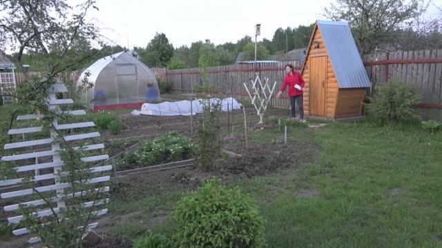 6 соток 26 мая 2021 год. На дачу. Сажаю сирень Примроуз. Готовлю клумбы для цвет