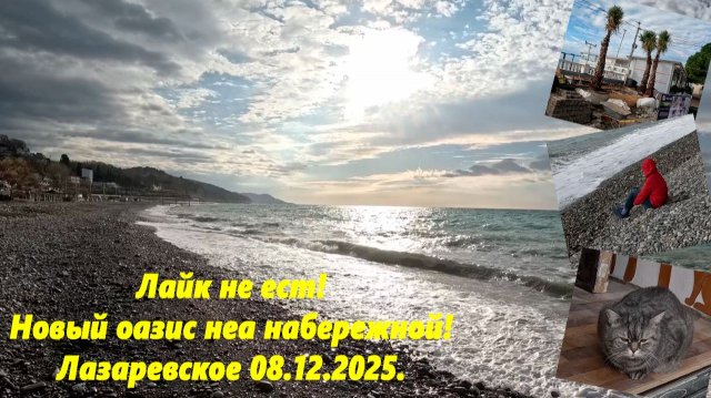 Лайк не есть! Новый оазис на набережной! Лазаревское 08.12.2025.