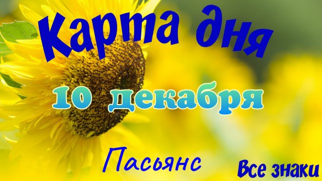 Карта дня❄10 декабря🎄☃️Пасьянс. Тайм-код в описании🦢